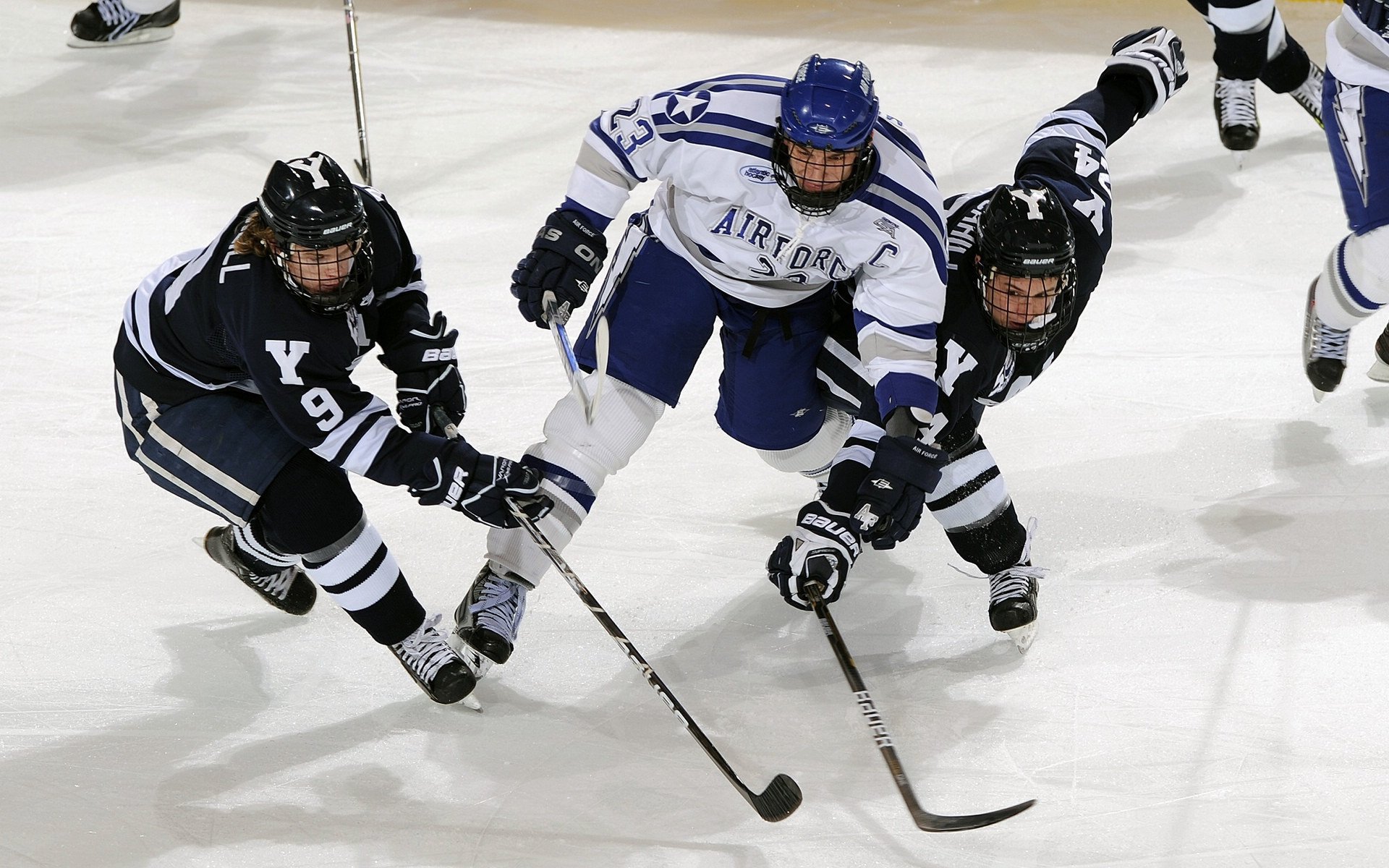 展望未来：哪些队伍将成为黑马？，展望未来_哪些队伍将成为黑马